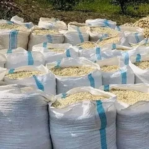 Open bulk bags filled with grain